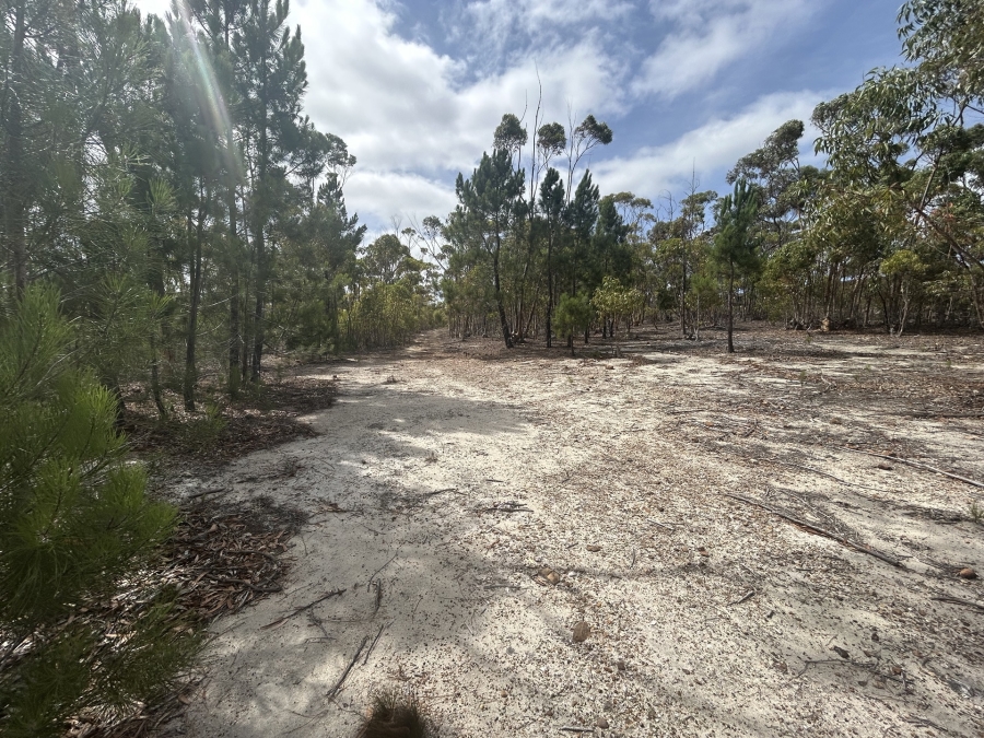 0 Bedroom Property for Sale in Napier Western Cape